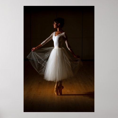 Elegant  Dancer Poster