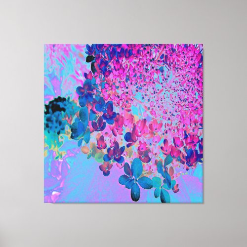 Elegant Dark Blue and Magenta Limelight Hydrangea Canvas Print