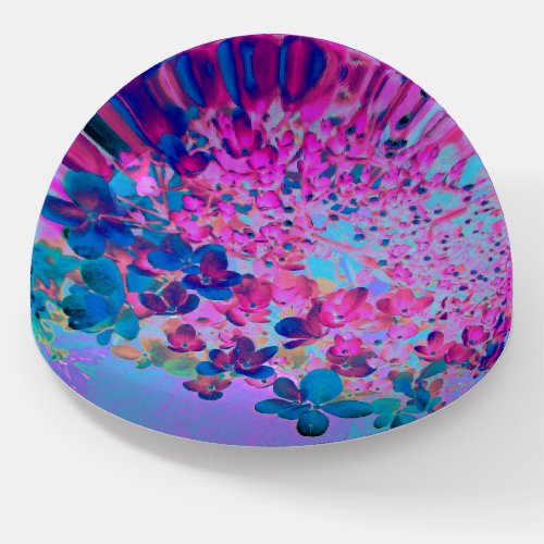 Elegant Dark Blue and Magenta Limelight Hydrangea Paperweight