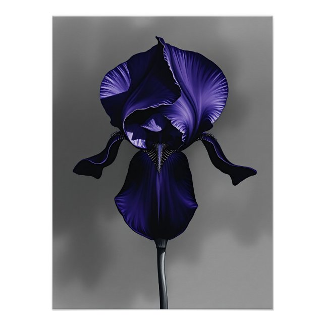 Elegant Dark Iris With Smoky Grey  Poster (Front)