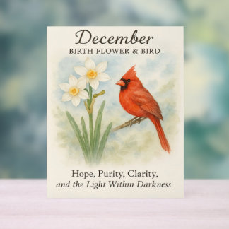 Elegant December Scripture Christian Cardinal  Acrylic Sign