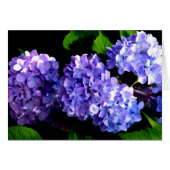 Elegant deep purple floral flowers  hydrangea (Front Horizontal)