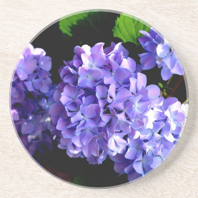 Elegant deep purple floral flowers  hydrangea drink coaster (Front)