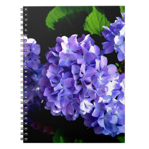 Elegant deep purple floral flowers  hydrangea notebook