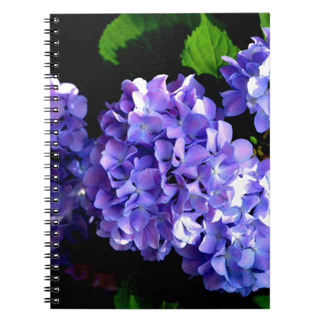 Elegant deep purple floral flowers  hydrangea notebook (Front)
