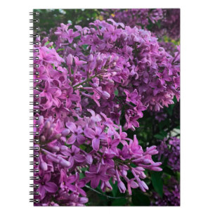 Elegant deep purple magenta florals flowers lilacs notebook