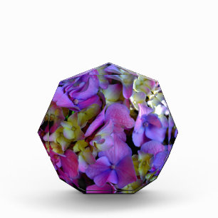 Elegant deep purple pink magenta floral hydrangeas acrylic award