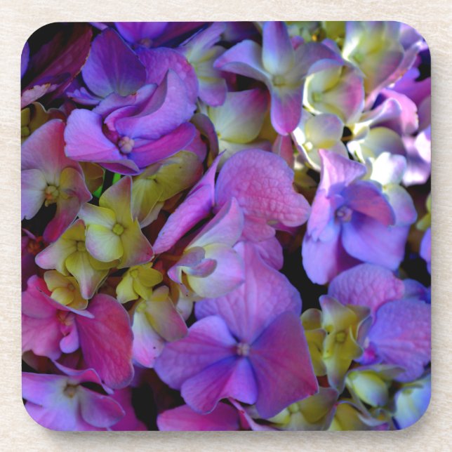 Elegant deep purple pink magenta floral hydrangeas beverage coaster (Front)