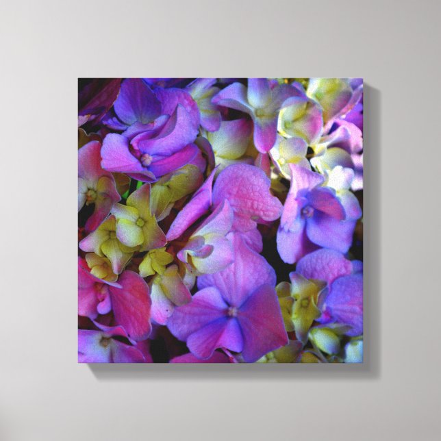 Elegant deep purple pink magenta floral hydrangeas canvas print (Front)