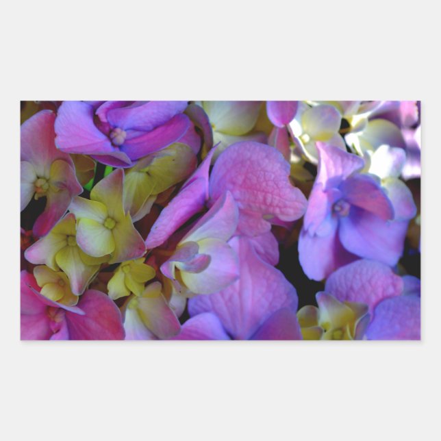 Elegant deep purple pink magenta floral hydrangeas rectangular sticker (Front)