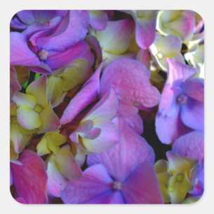Elegant deep purple pink magenta floral hydrangeas square sticker