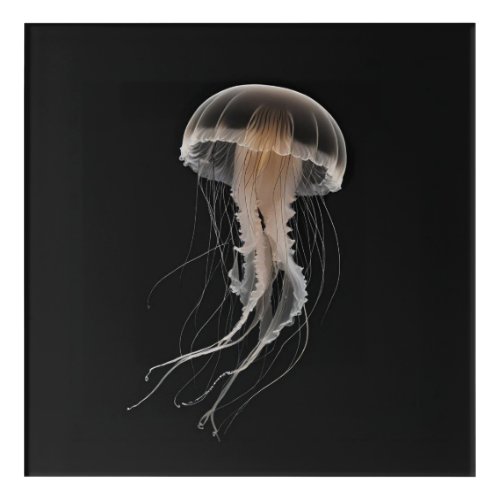 Elegant Deep Sea Jellyfish Acrylic Print