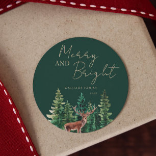 Elegant Deer Christmas Family Name Classic Round Sticker