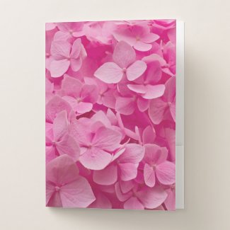 Elegant, Delicate Pink Hydrangea in Full Bloom