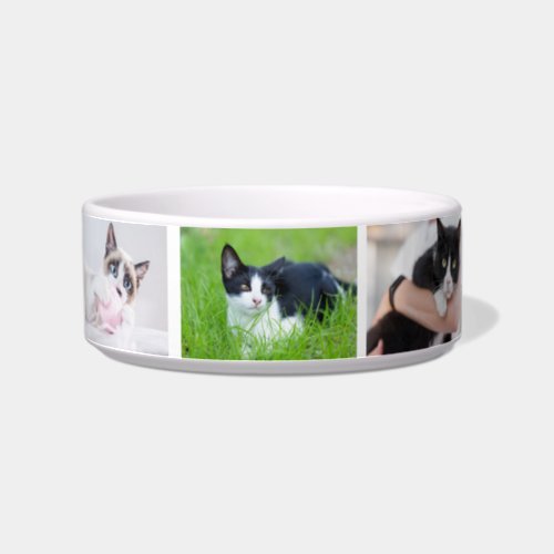 Elegant Dog Pet Cat Pictures Water Food Drink Bowl
