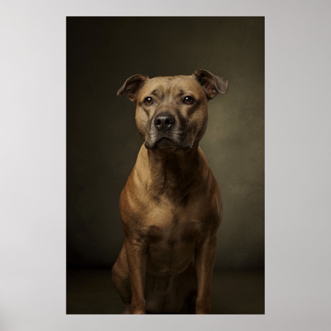 Elegant Dog Silhouette Poster (Front)