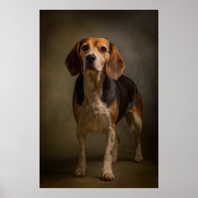 Elegant Dog Silhouette Poster (Front)