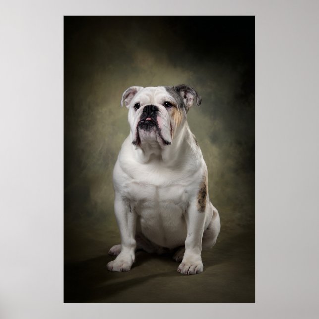 Elegant Dog Silhouette Poster (Front)