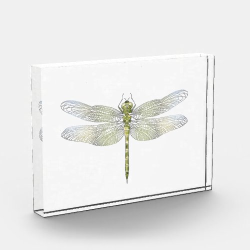 Elegant Dragonfly drawing  Acrylic Award