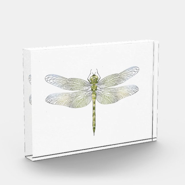 Elegant Dragonfly drawing  Acrylic Award (Left)