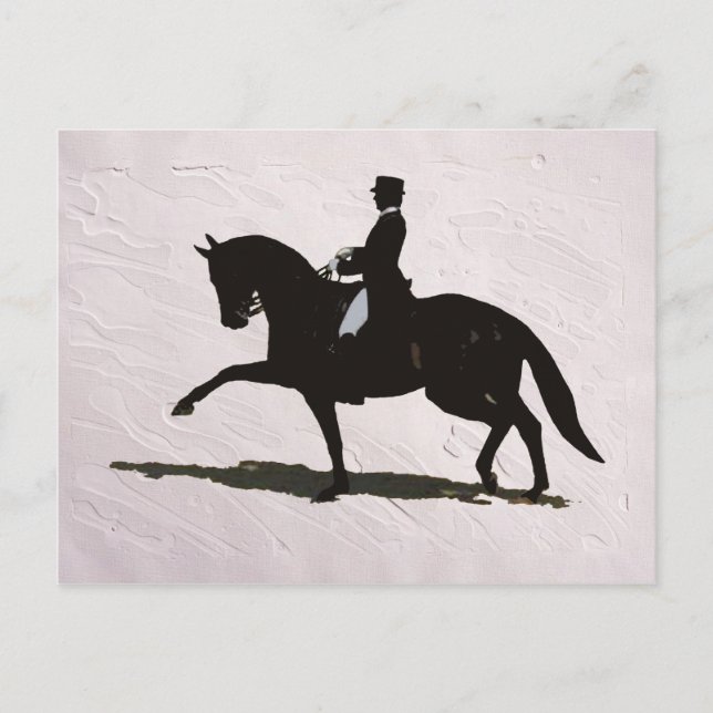 Elegant Dressage Horse & Rider Postcard (Front)