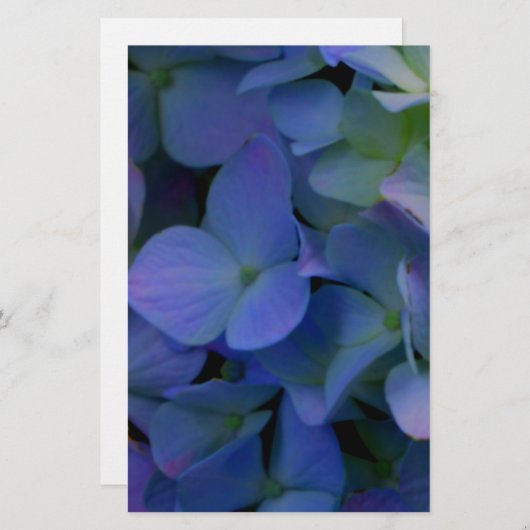 Elegant dusty blue purple floral (Front/Back)