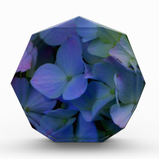 Elegant dusty blue purple floral award (Front)