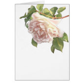 Elegant dusty peachy orange white floral rose (Front)