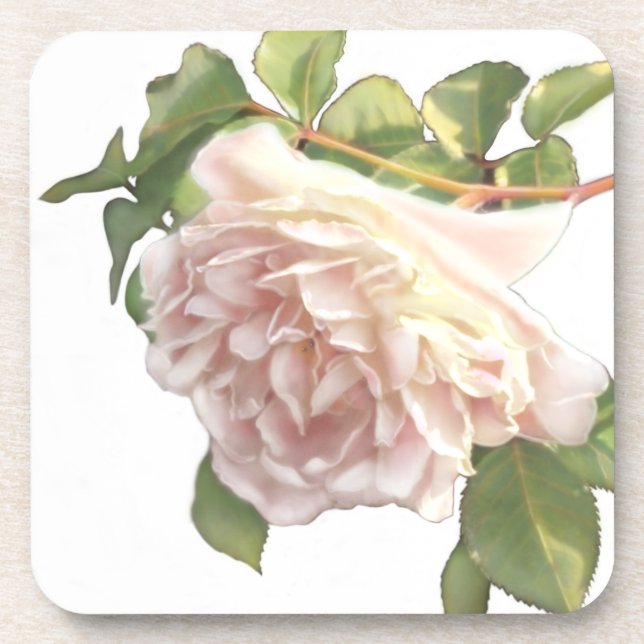 Elegant dusty peachy orange white floral rose beverage coaster (Front)