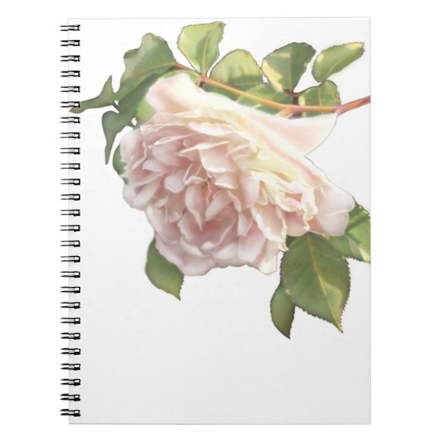 Elegant dusty peachy orange white floral rose notebook (Front)