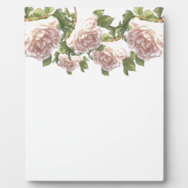 Elegant dusty peachy orange white floral rose plaque (Front)