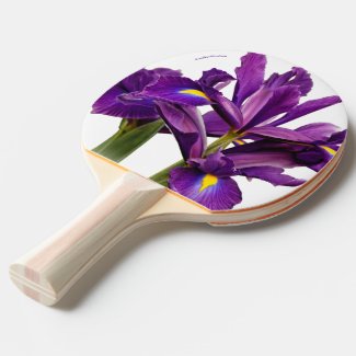 Elegant Dutch Iris Purple Sensation Flowers