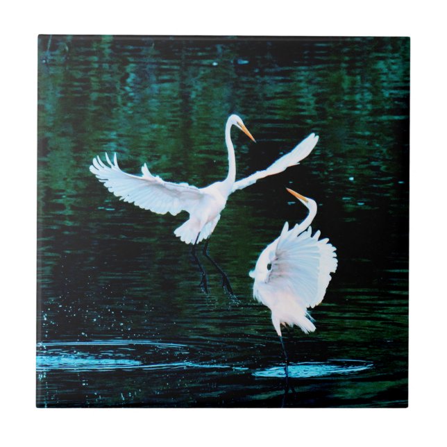 Elegant Egrets In Dance Ceramic Tile (Front)