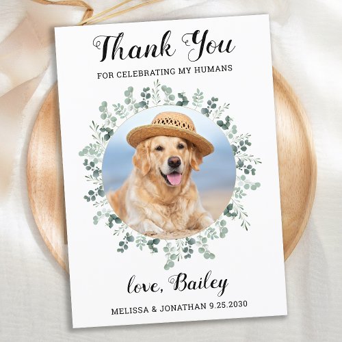 Elegant Eucalyptus Foliage Pet Photo Dog Wedding Thank You Card