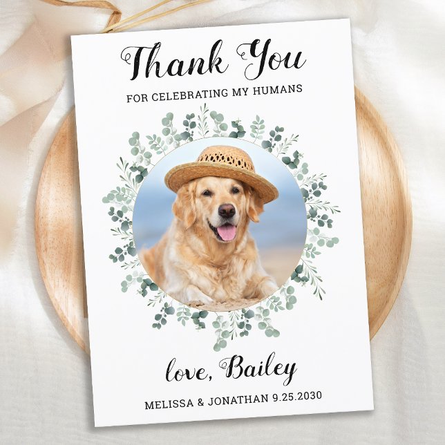 Elegant Eucalyptus Foliage Pet Photo Dog Wedding Thank You Card (Creator Uploaded)