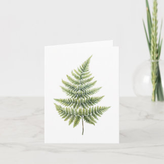 Elegant Fern Design Note Cards