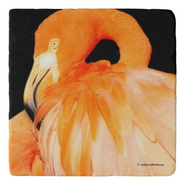 Elegant Flamingo in the Summer Sun Trivet (Front)