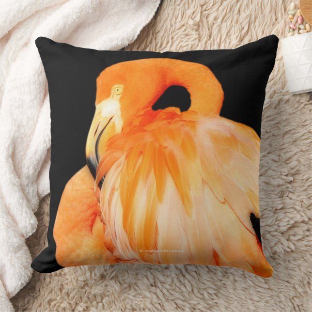 Elegant Flamingo Wading Bird in Summer Sun Throw Pillow (Blanket)