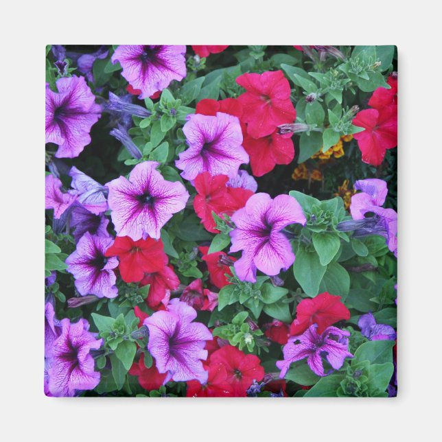 Elegant Floral Card (3) Magnet (Front)