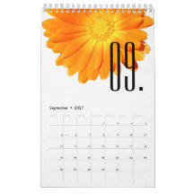 Elegant Floral Colorful Flowers Flower Lover 2027