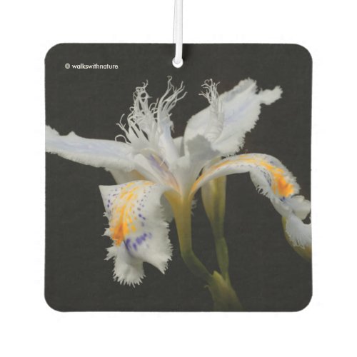 Elegant Floral Crested Shaga Japanese Iris Air Freshener