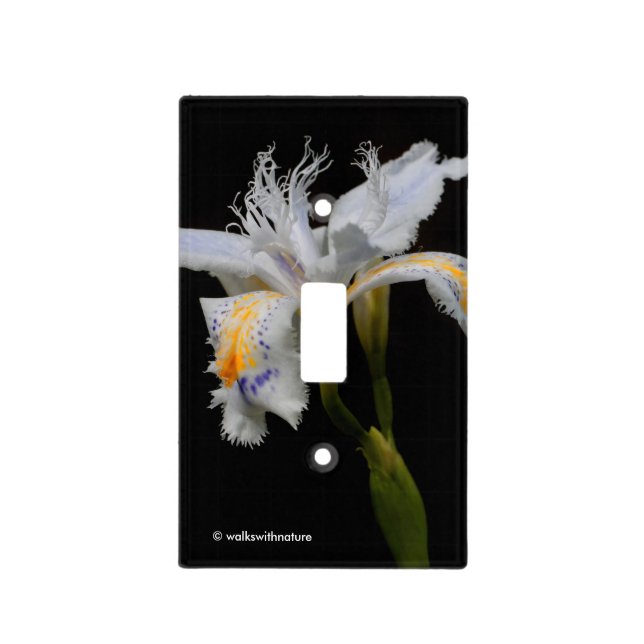 Elegant Floral Crested Shaga Japanese Iris Light Switch Cover (Front)