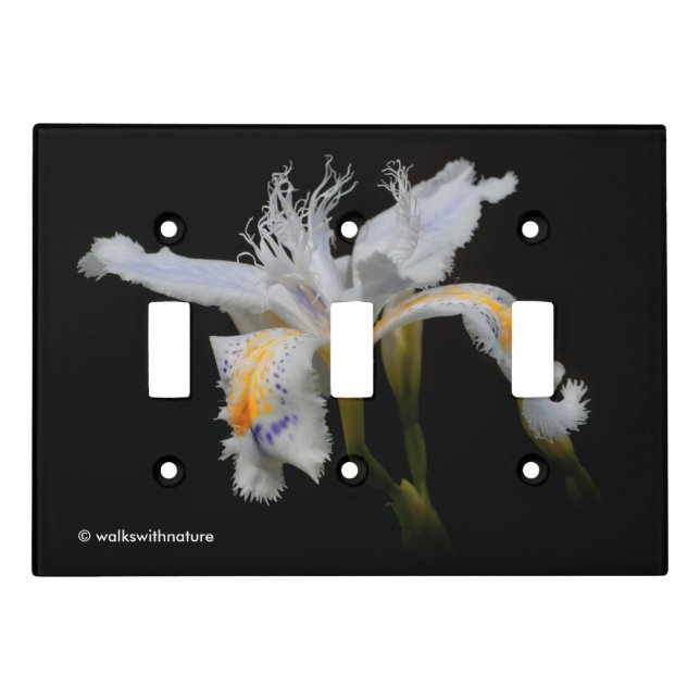 Elegant Floral Crested Shaga Japanese Iris Light Switch Cover (Front)