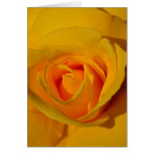 Elegant floral flower Yellow Rose (Front)