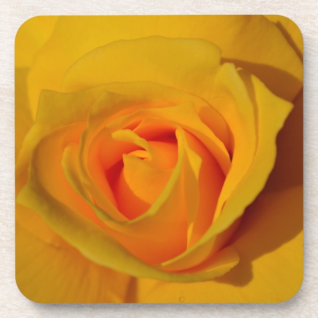 Elegant floral flower Yellow Rose Beverage Coaster (Front)