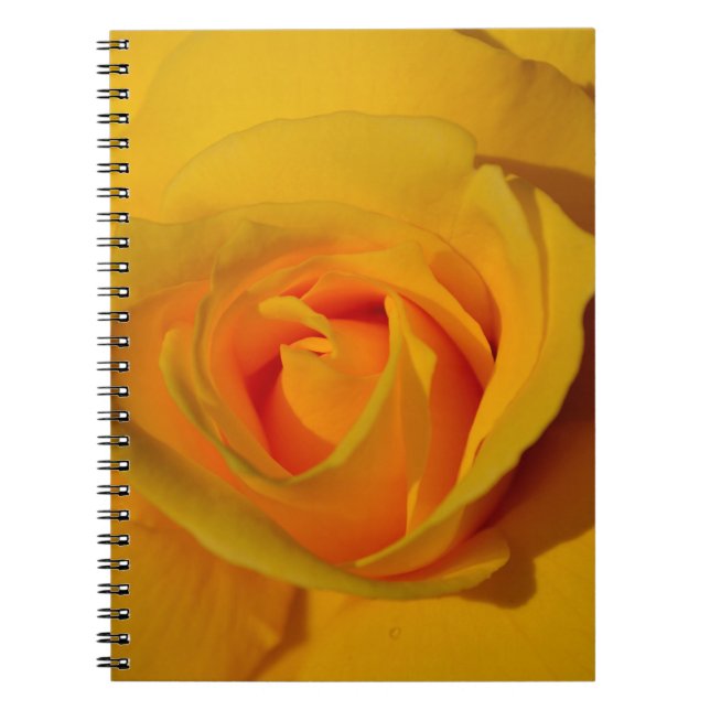 Elegant floral flower Yellow Rose Notebook (Front)