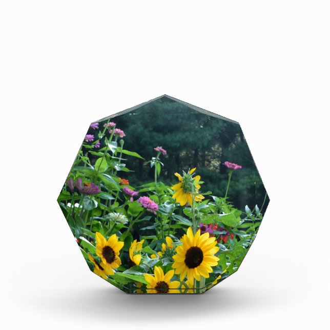 Elegant floral garden sunflowers zinnia mums  acrylic award (Front)