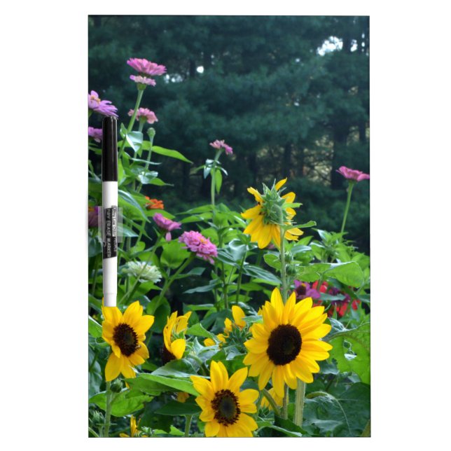 Elegant floral garden sunflowers zinnia mums  dry erase board (Front)