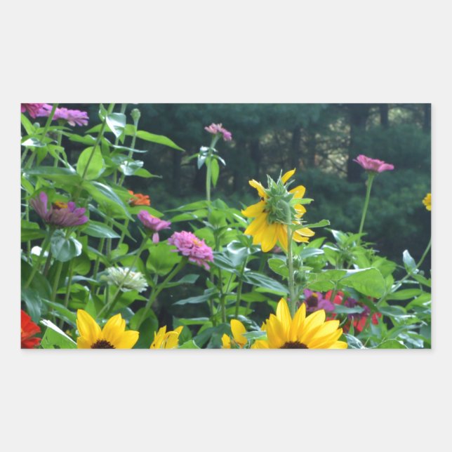 Elegant floral garden sunflowers zinnia mums  rectangular sticker (Front)