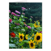 Elegant floral garden sunflowers zinnias daisies (Front)